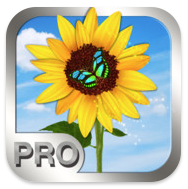 Photo Manager Pro