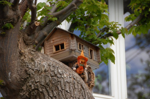 Norwegian garden curiosity